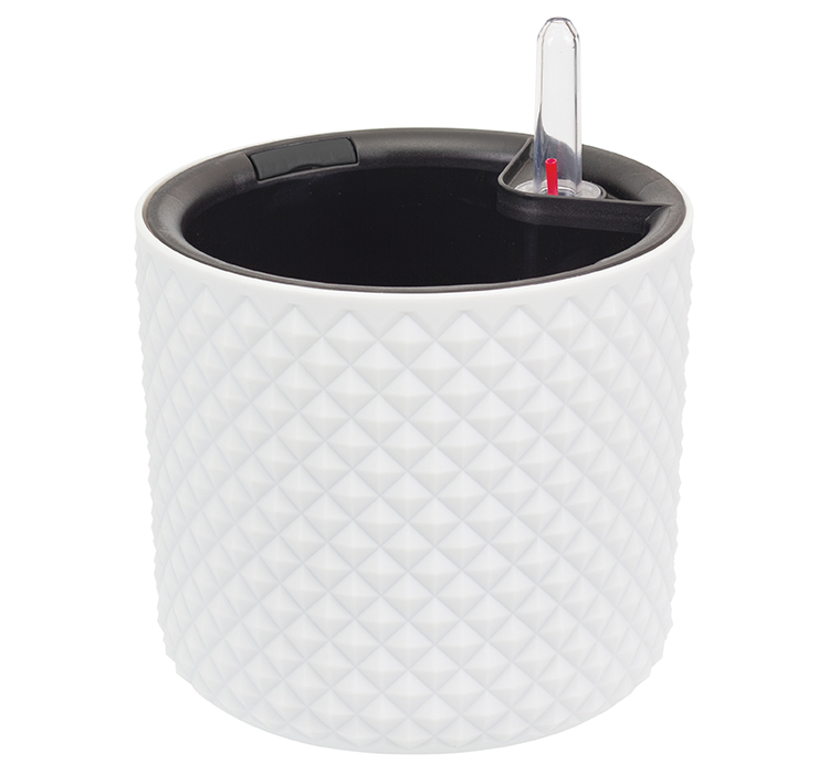 Изображение загружено