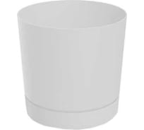 Изображение загружено