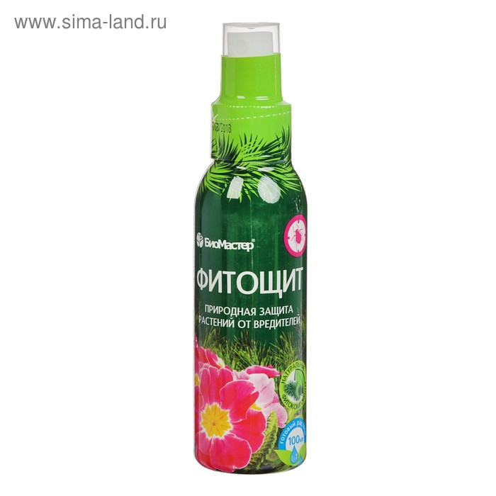 Изображение загружено