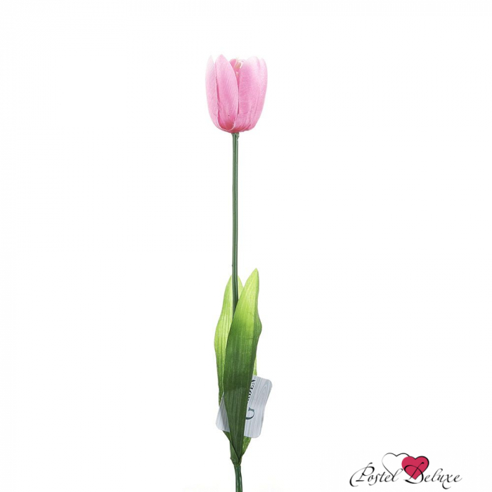 Изображение загружено