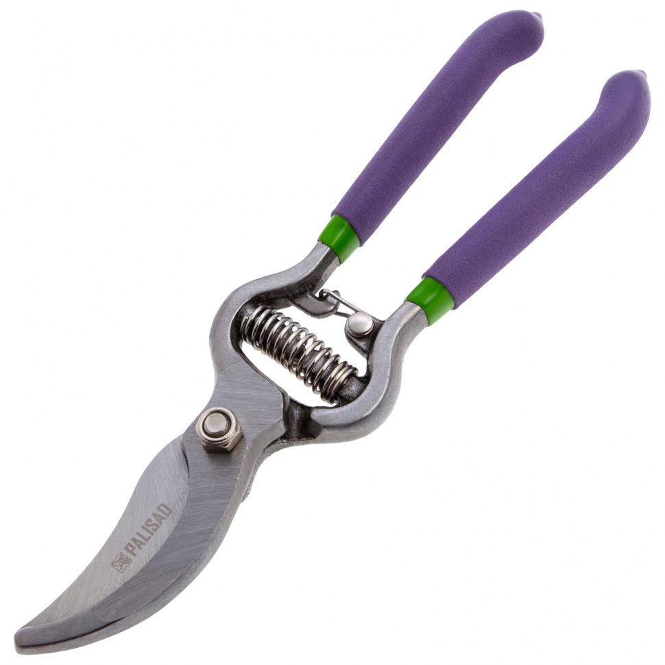 Изображение загружено