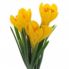 e7cad5c58d1687a19aac6b52215928c5