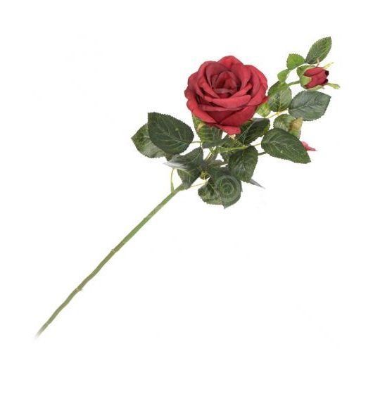 Изображение загружено