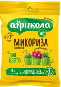 t955h6xtqneysv9jgyl085r111nt8vw1