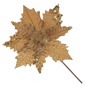 0ir545013zewd94hzhcz6ogt7elvyntw