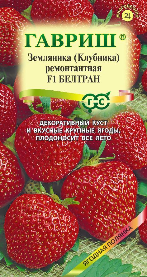 1999943093_mini4 (1)