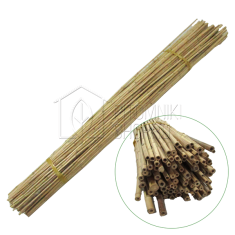 oew0r19ow0gmjbusbr7o8gsaaswerwcw