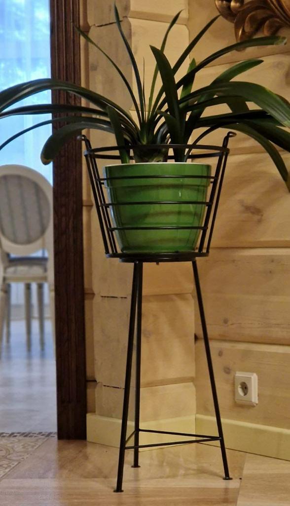 Изображение загружено