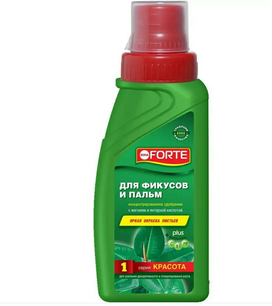 Изображение загружено