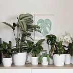 465696493e59ca74e4506f25abb3dd37