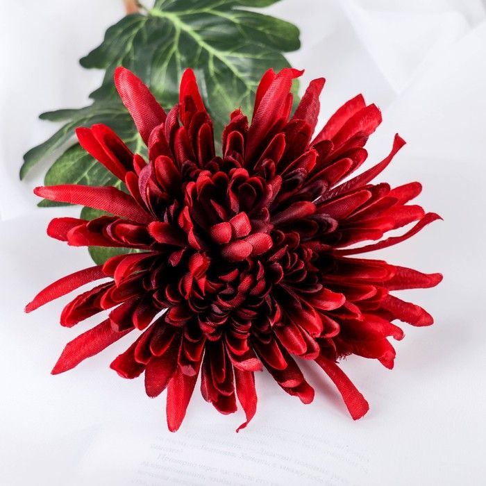 Изображение загружено