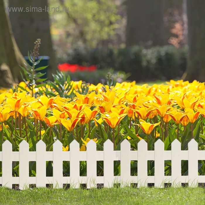 Изображение загружено