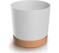 Изображение загружено