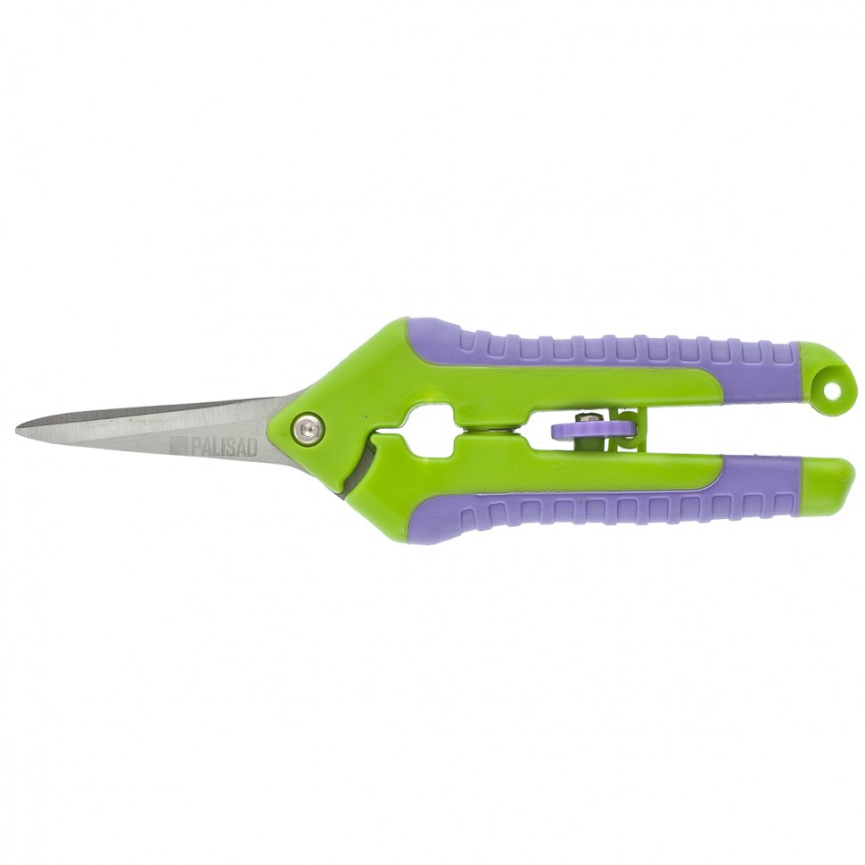 Изображение загружено