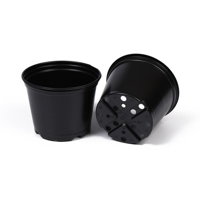 Изображение загружено