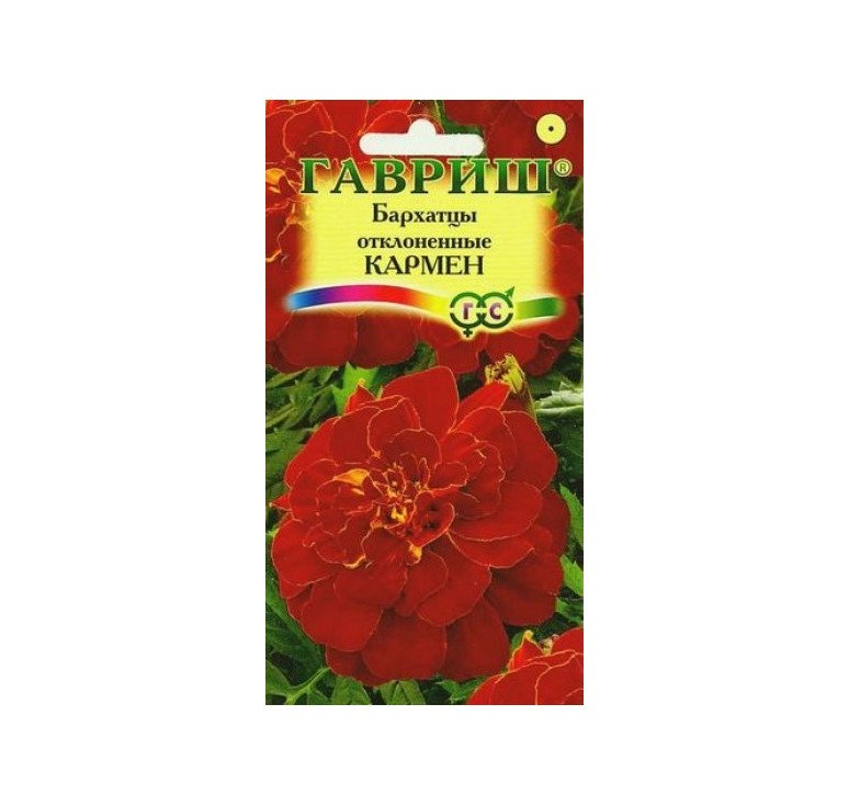 Изображение загружено