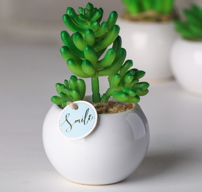 Изображение загружено