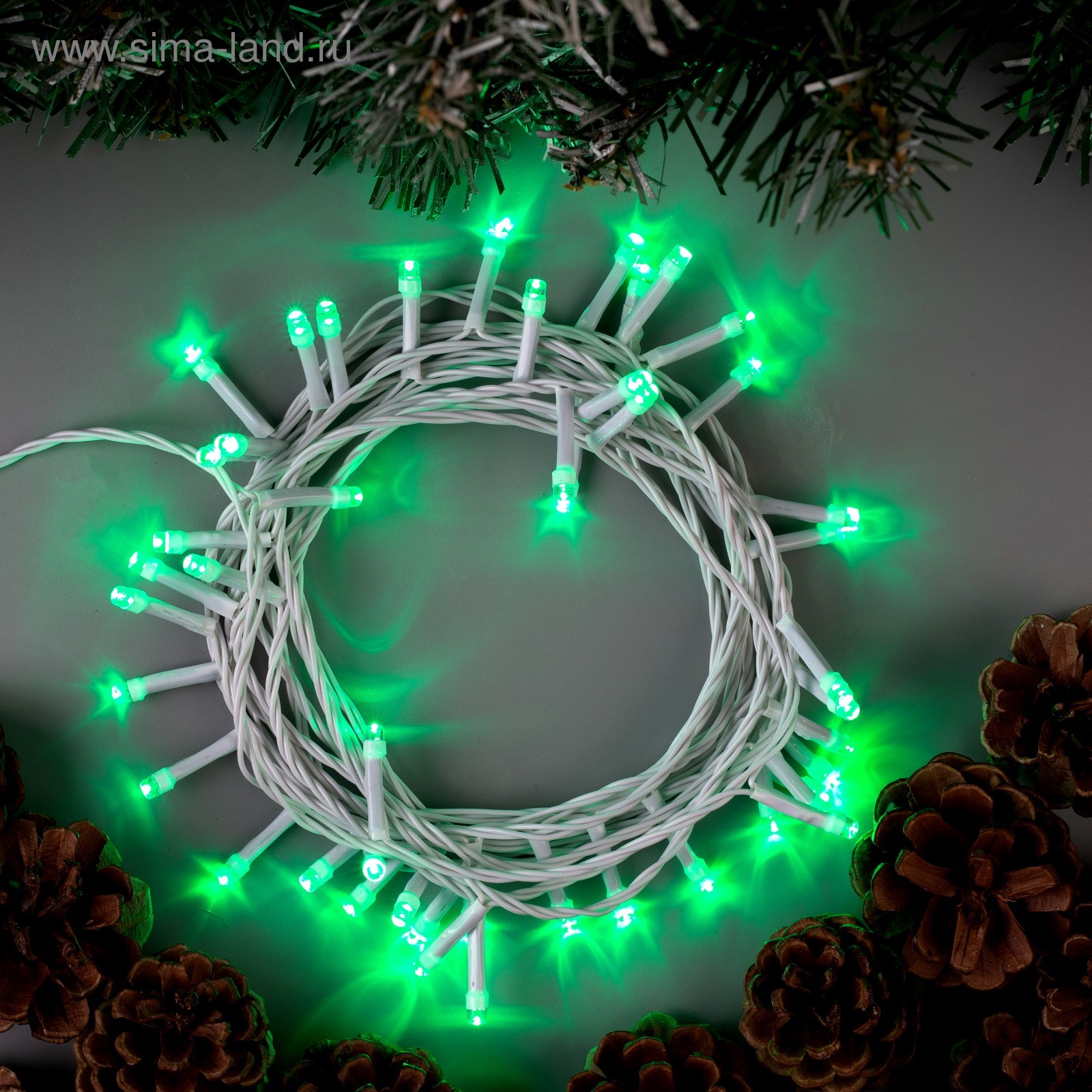 Изображение загружено