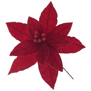 2lq7fpep77q213b9cbkyw13pexsyzmww