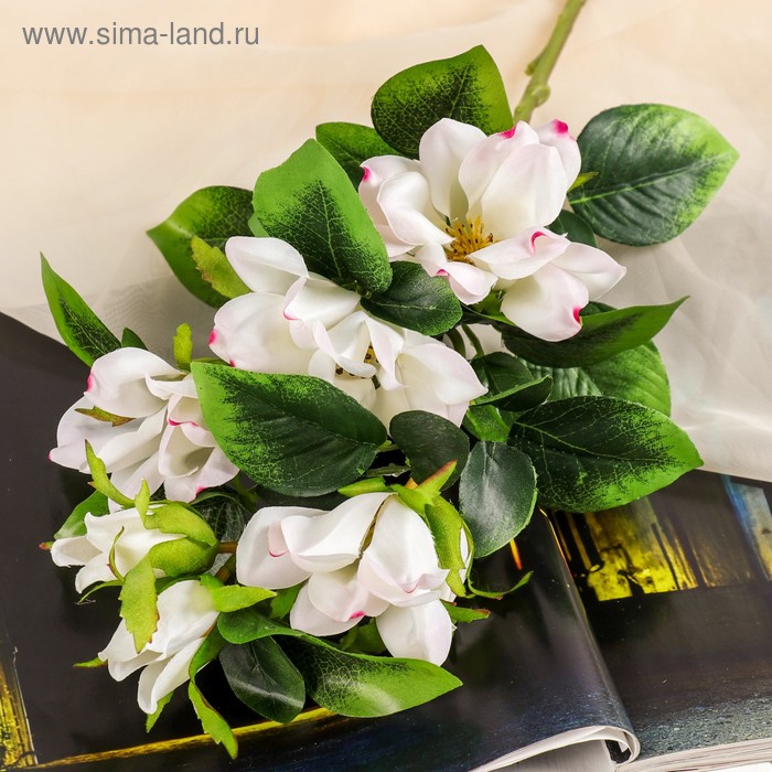 700 - 2025-03-22T113734.036