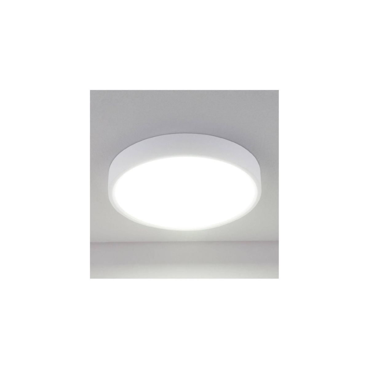 Изображение загружено