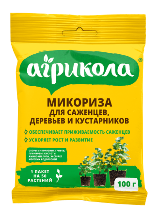 catalog_preview_78a92cbb7c7a2c8501189465230059ef