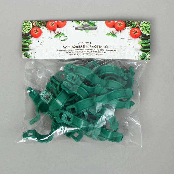 Изображение загружено