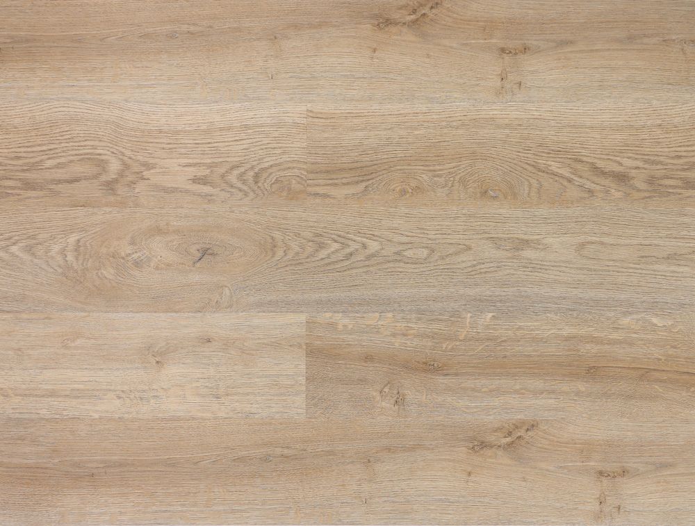 дуб светлый