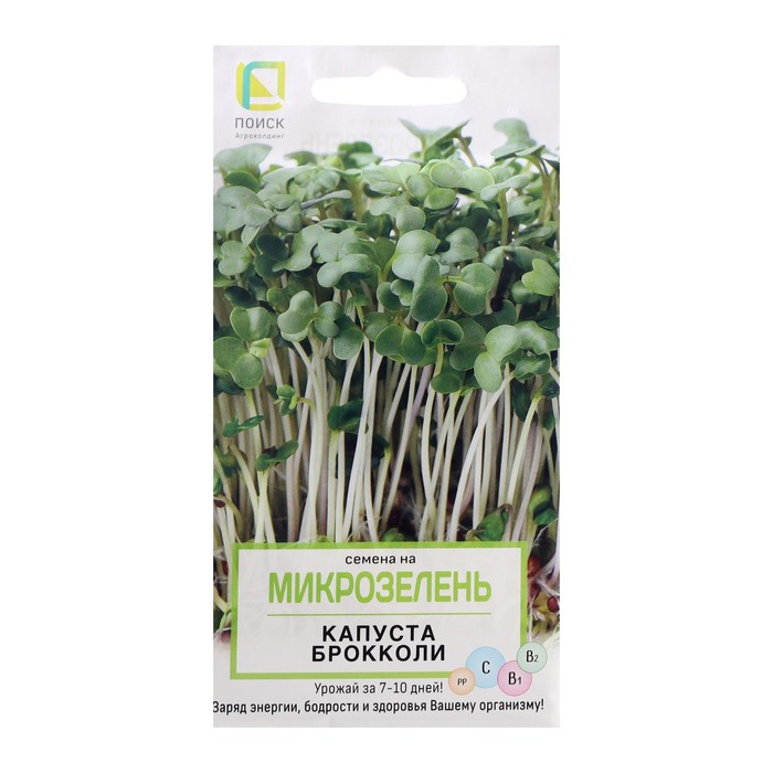 700 - 2025-02-05T171540.050