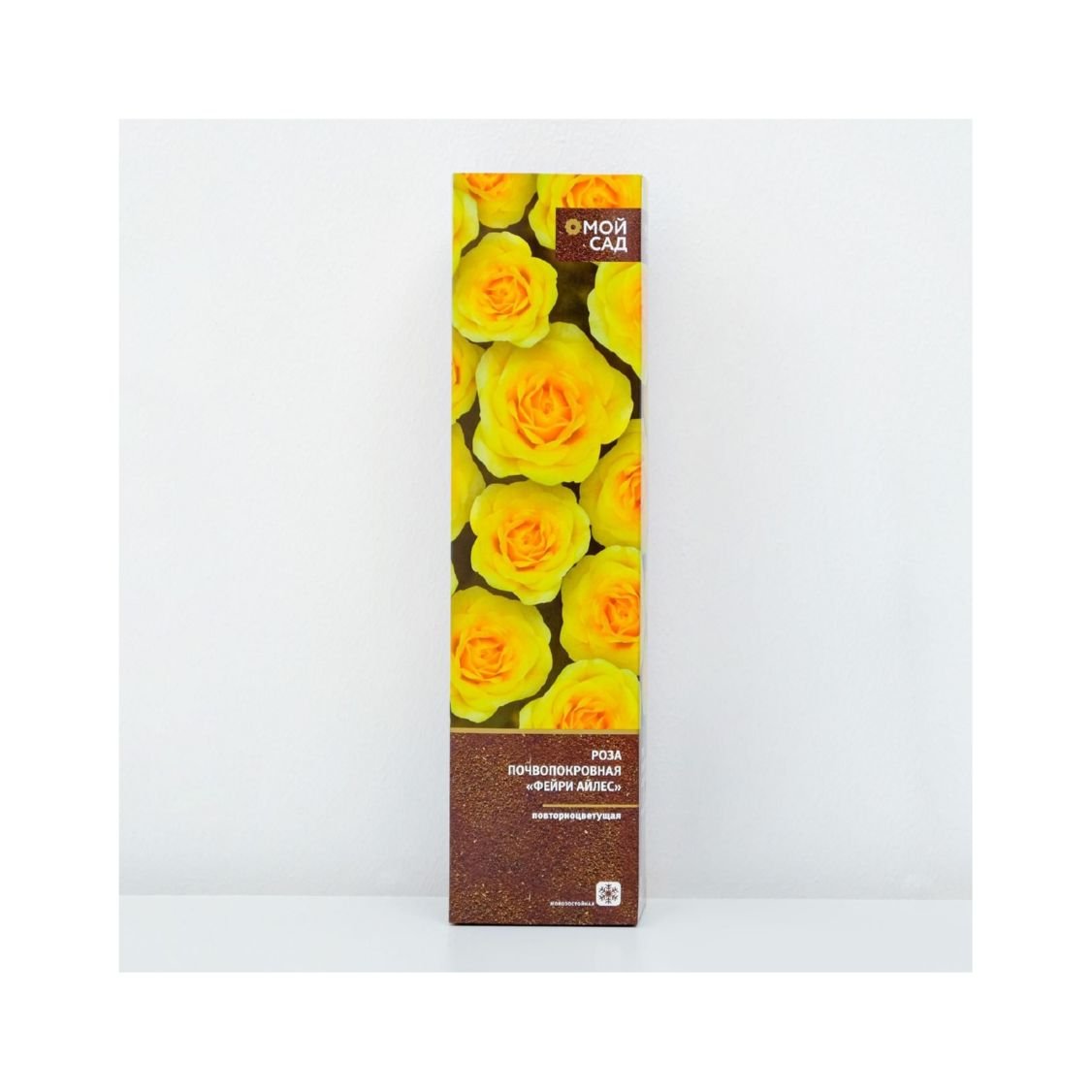 Изображение загружено