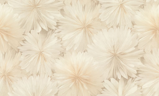 8090-01-раппорт