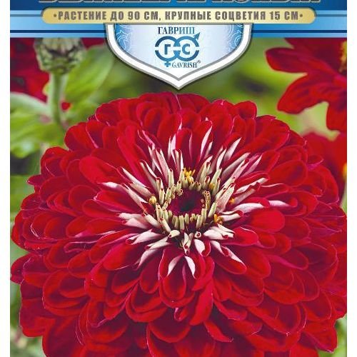 Изображение загружено