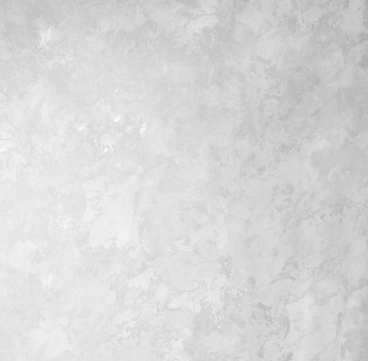 287585 Обои флизелиновые Odyssey, фон светло-серый 1,06х10м