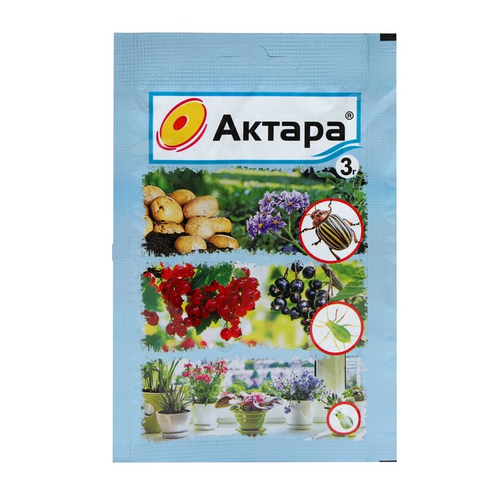 Изображение загружено