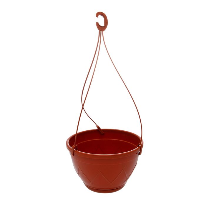 Изображение загружено