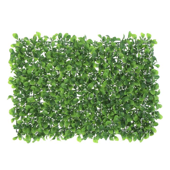 Изображение загружено