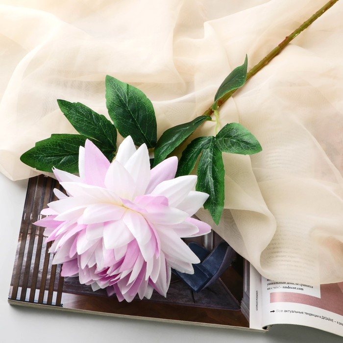 700 - 2025-03-22T112125.090