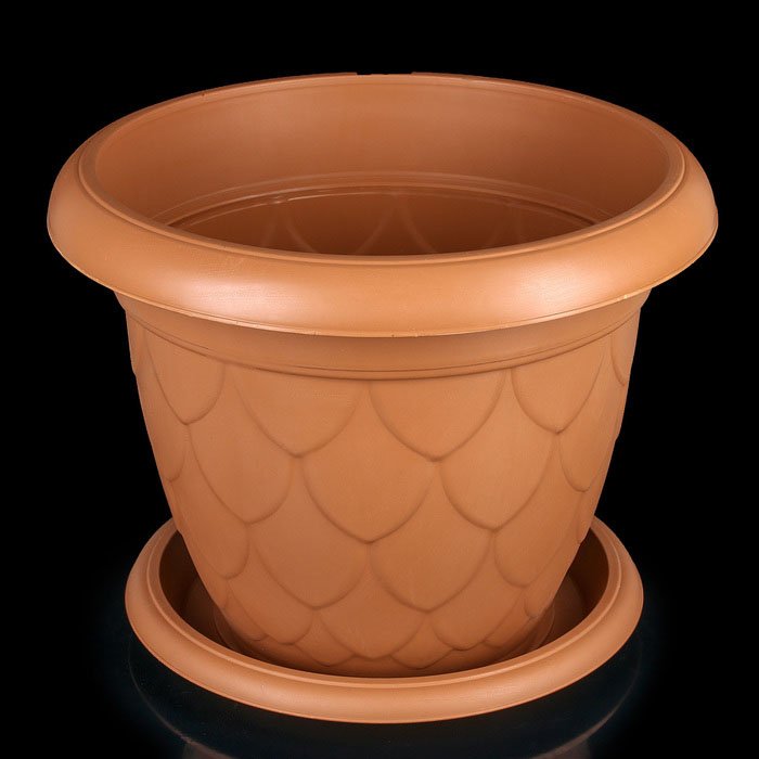 Изображение загружено