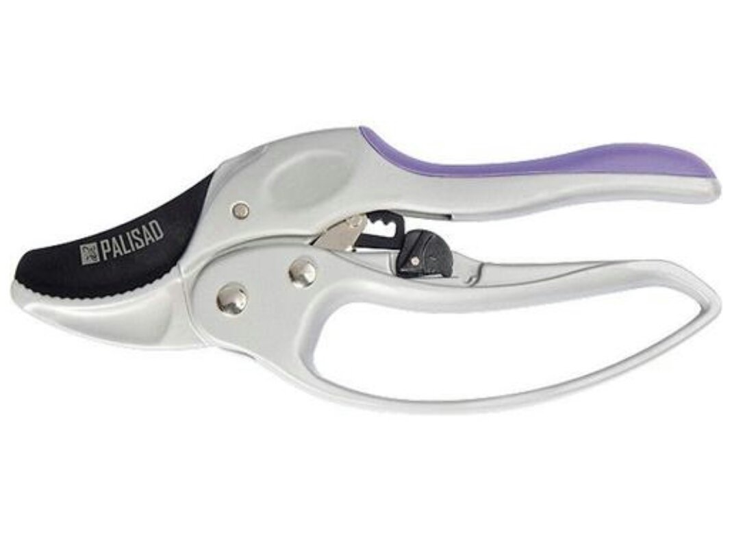 Изображение загружено