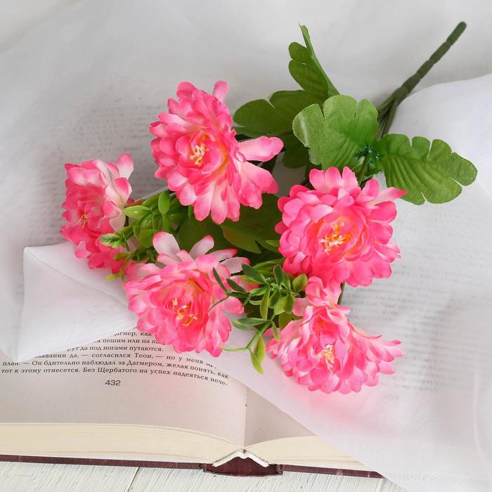 Изображение загружено