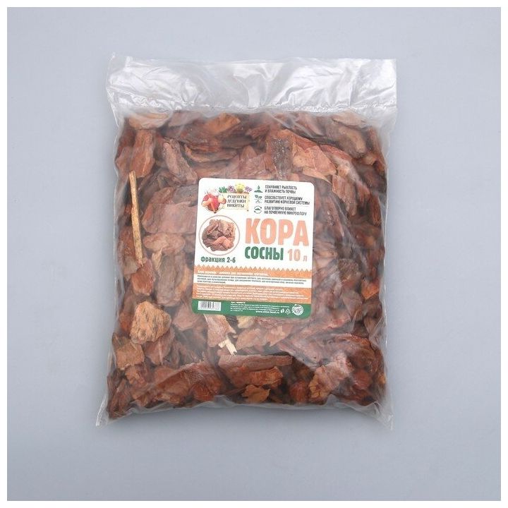 Изображение загружено