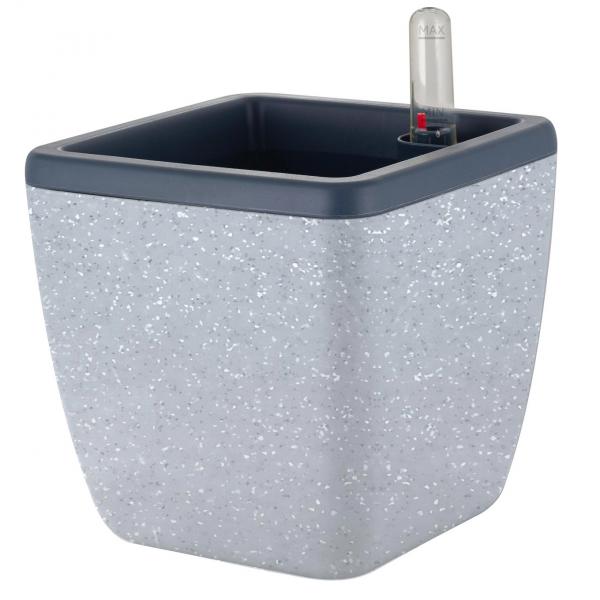 Изображение загружено