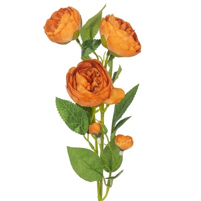 Изображение загружено