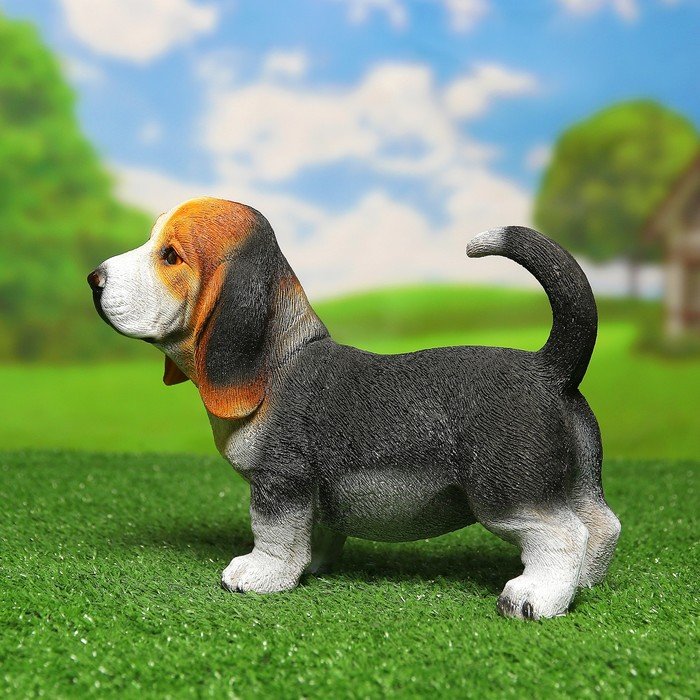 Изображение загружено