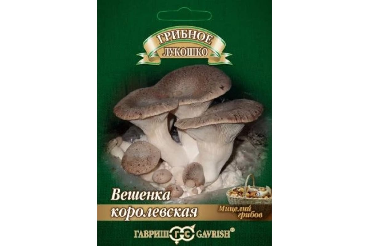 Изображение загружено