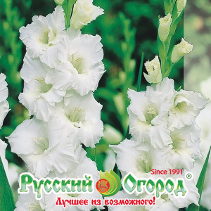 07799e89c4b414eace281fe842d9388b