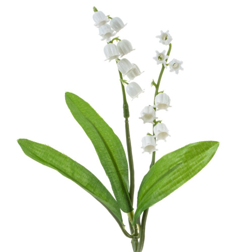 Изображение загружено