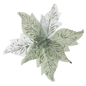 4liv5c3dukrog5dk73bbno5l1a9lzv56