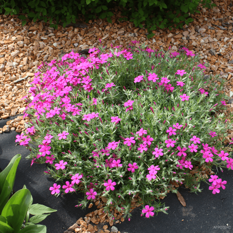 agroteksgeo_2.2-min-756x756-585