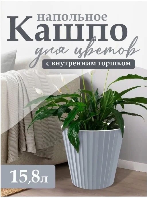 Изображение загружено